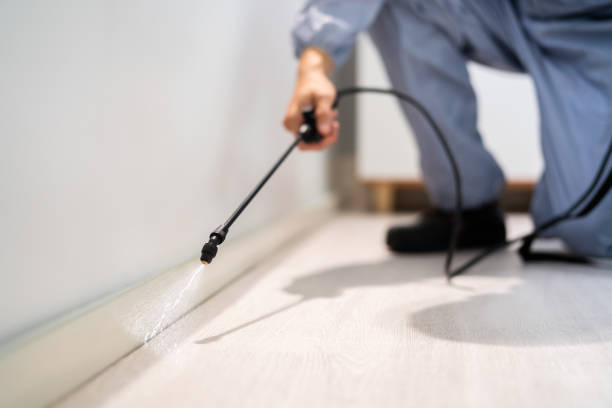 Licensed Pest Control service in The Pinehills, MA - Show Me Pest Control