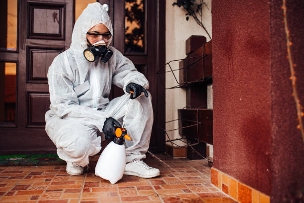 Reliable Wasp Removal contractor in The Pinehills, MA by Show Me Pest Control